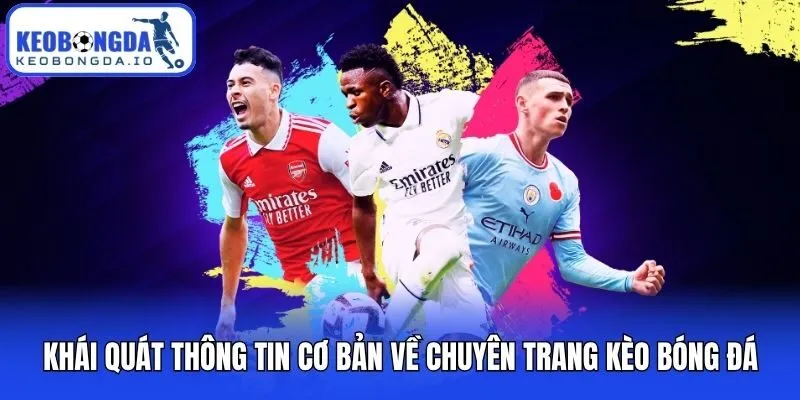 Kèo Bóng Đá - Tỷ Lệ Bóng Đá Kèo Nhà Cái Trực Tuyến Hôm Nay 24/7 7 Khái quát thông tin cơ bản về chuyên trang Kèo bóng đá