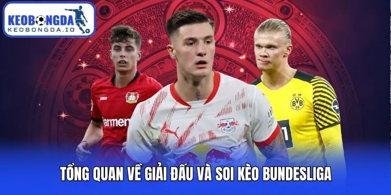 Soi Kèo Bundesliga - Bí Kíp Chinh Phục Odds Khủng Cho Newbie 1 Tổng quan về giải đấu và soi kèo Bundesliga